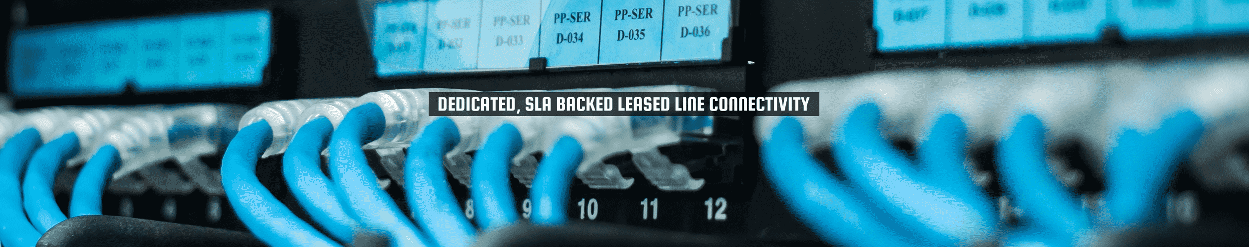52Degrees Leased Lines - feature image | "dedicated, SLA backed leased line connectivity" | blue wires are plugged into a server | Telecoms Solutions, Norwich